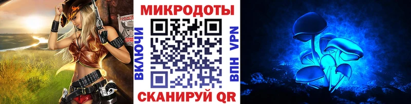 наркошоп  Нахабино  Галлюциногенные грибы Psilocybe 